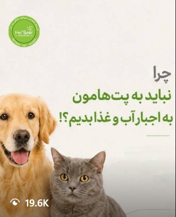 غذا دادن زوری