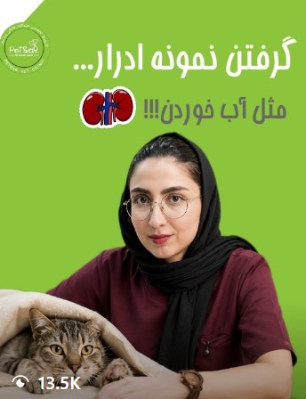 نمونه گیری