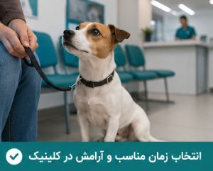 انتخاب زمان مناسب