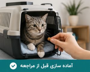 آماده سازی