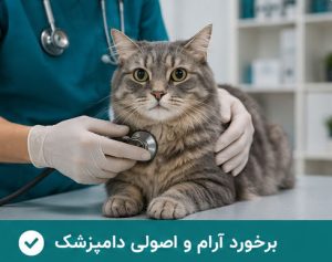 آرام کردن اصولی دامپزشک