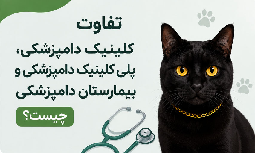 تفاوت کلینیک دامپزشکی، پلی کلینیک دامپزشکی و بیمارستان دامپزشکی چیست؟