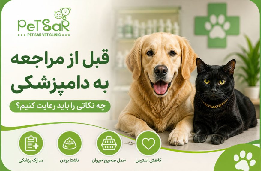 قبل از مراجعه به دامپزشکی چه نکاتی را باید رعایت کنیم؟