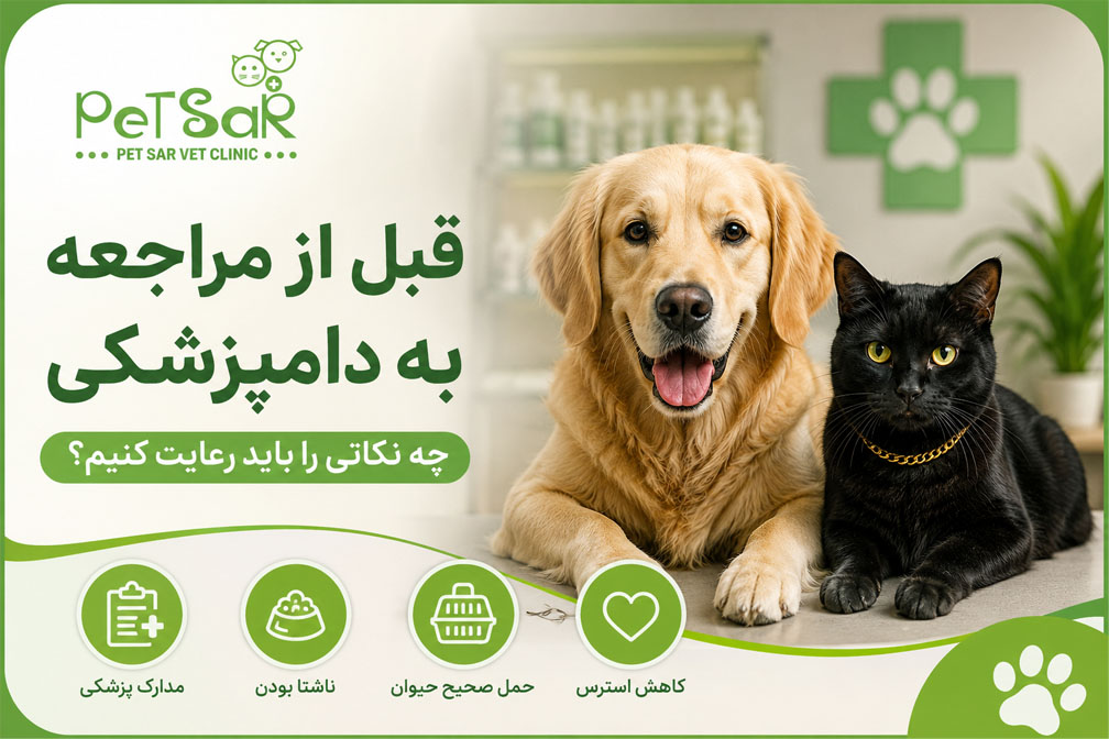 قبل از مراجعه به دامپزشکی چه نکاتی را باید رعایت کنیم؟