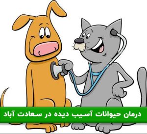 درمان حیوانات آسیب دیده در سعادت آباد | راهنمای کامل اقدامات فوری و مراقبت از سگ و گربه