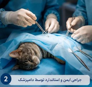 عقیم سازی گربه توسط دامپزشک