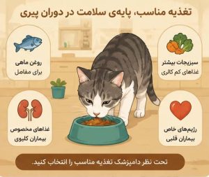 پیاده‌روی و فعالیت بدنی مناسب برای سگ سالمند