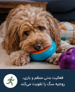 سگ افسرده و گوشه‌گیر در حال استراحت روی مبل